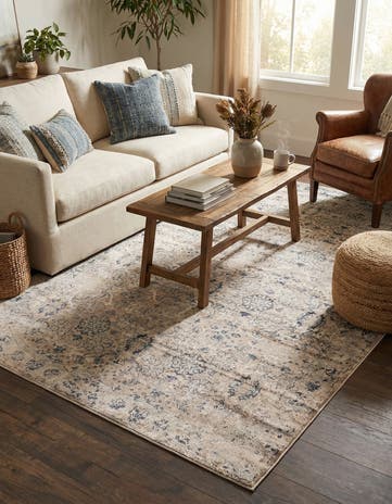 5' x 7' 7 Modern Classical Rug