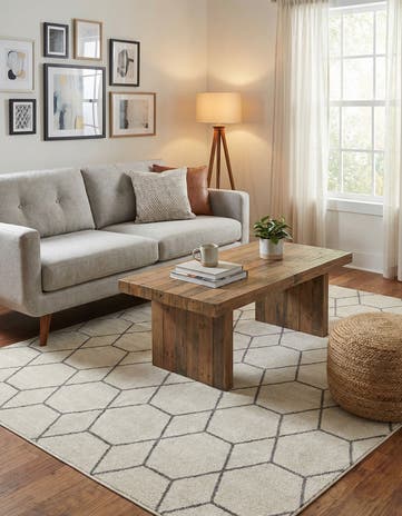 5' 3 x 8' Lattice Frieze Rug