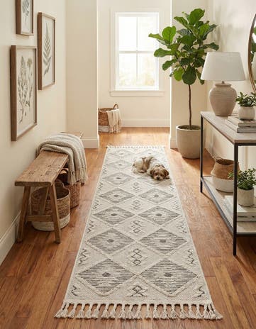 2' 7 x 12' Arlo Runner Rug