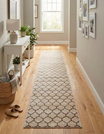 Beige and Light Brown Lattice Runner Rug