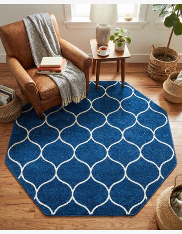 5' 3 x 5' 3 Trellis Frieze Octagon Rug