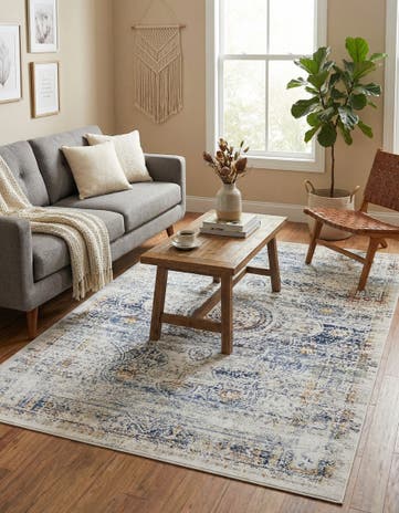 Gray Budapest Rug