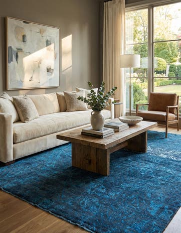 6' x 9' Hand Knotted Darya Rug