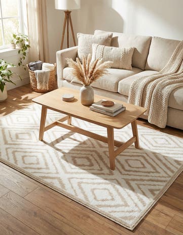 3' 3 x 5' 3 Hermitage Rug