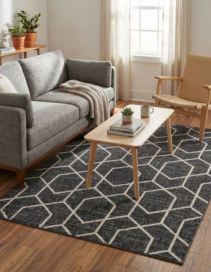 Detail image of  4' x 6' Eco Trellis Rug