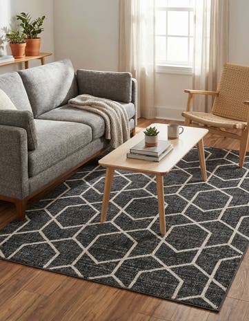 4' x 6' Eco Trellis Rug