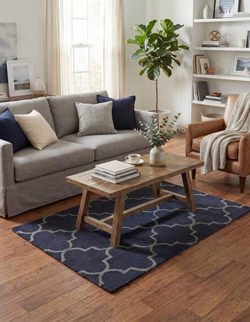 4' x 6' Luna Rug