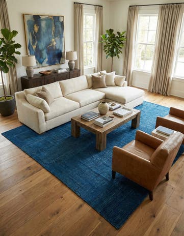 8' 10 x 11' 10 Hand Knotted Darya Wool Rug