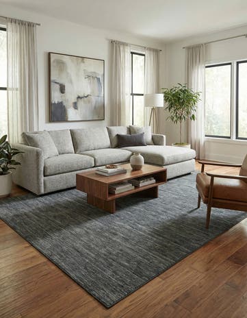 10' x 14' Silta Rug