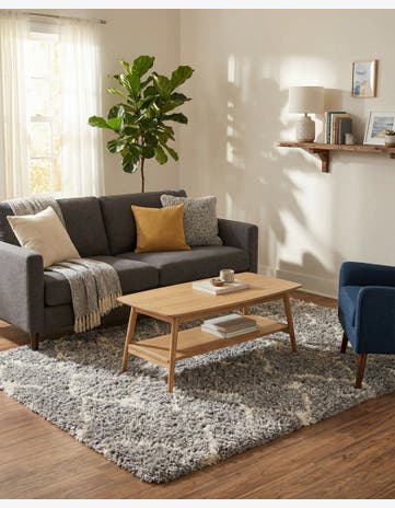 4' x 6' Infinity Shag Rug