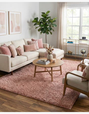 9' x 12' Everyday Shag Rug