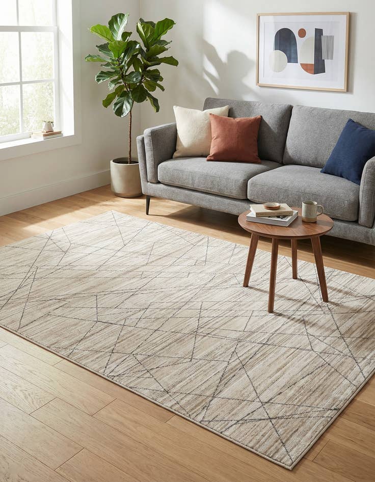 Detail image of 4' x 6' Silta Rug