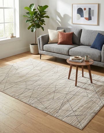 4' x 6' Silta Rug