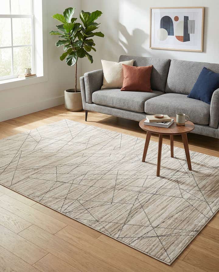 4' x 6' Silta Rug