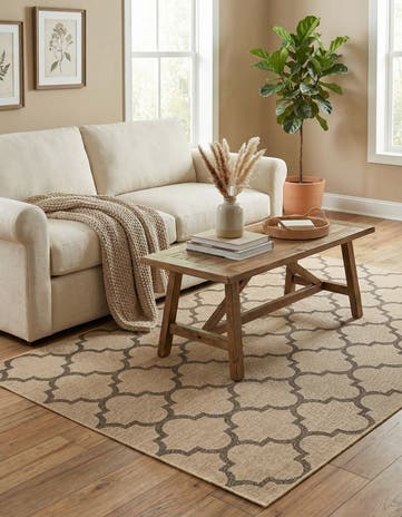 5' 5 x 8' Dunes Rug