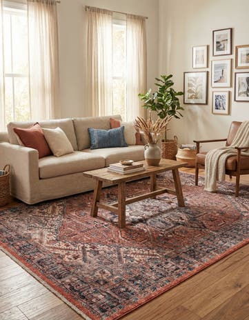 7' 10 x 10' Boutique Rug