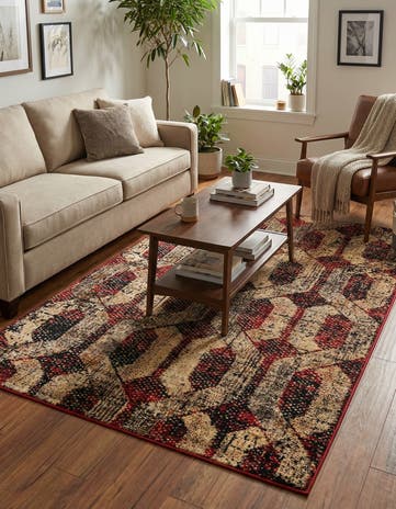 Burgundy Saturn Rug