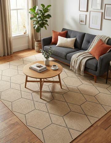 7' 10 x 10' Dunes Rug