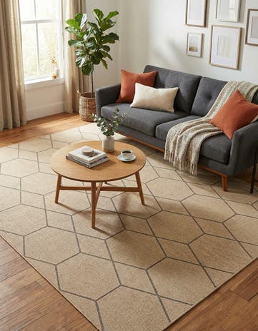 7' 10 x 10' Dunes Rug