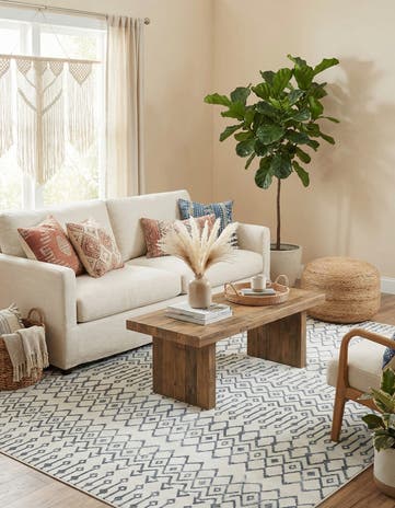 10' x 13' Bohemian Trellis Rug