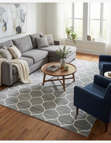 7' 10 x 11' Trellis Frieze Rug