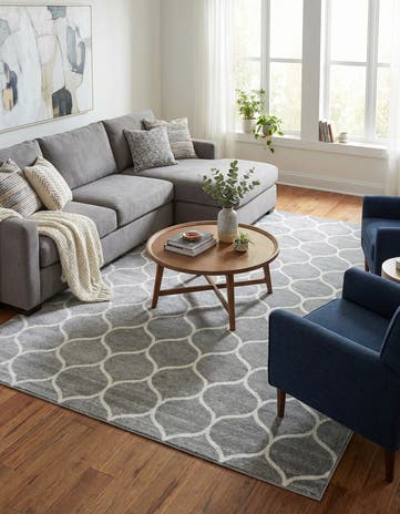 7' 10 x 11' Lattice Frieze Rug