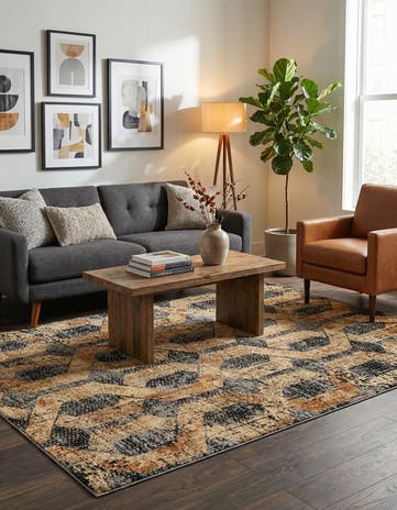 6' x 9' Saturn Rug