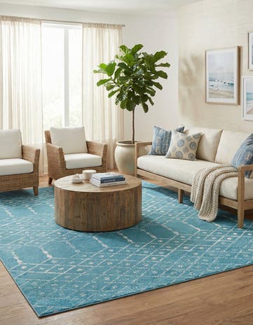 10' x 13' Paxon Trellis Rug