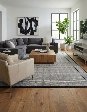 10' x 14' 1 Milano Rug