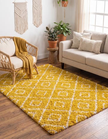 4' x 6' Lattice Shag Rug