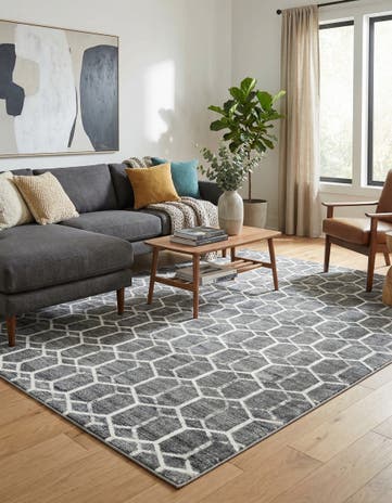 9' x 12' 2 Lattice Trellis Rug