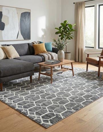 9' x 12' 2 Lattice Trellis Rug