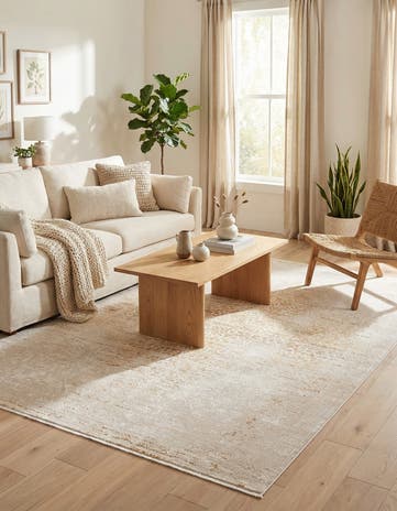 6' x 8' 9 Deepa Rug