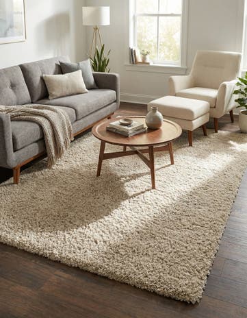 6' x 9' Zermatt Shag Rug