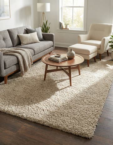 6' x 9' Zermatt Shag Rug