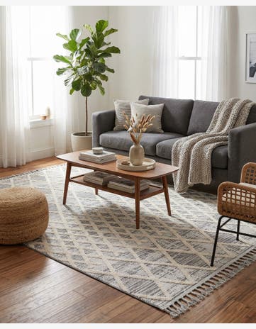 Gray Arlo Rug