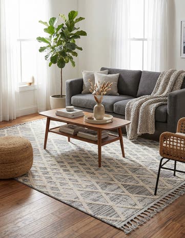 6' x 9' Arlo Rug