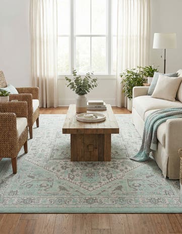 5' 3 x 8' Whitney Rug