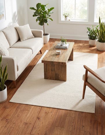 4' x 6' Monochromatic Bouclee Rug