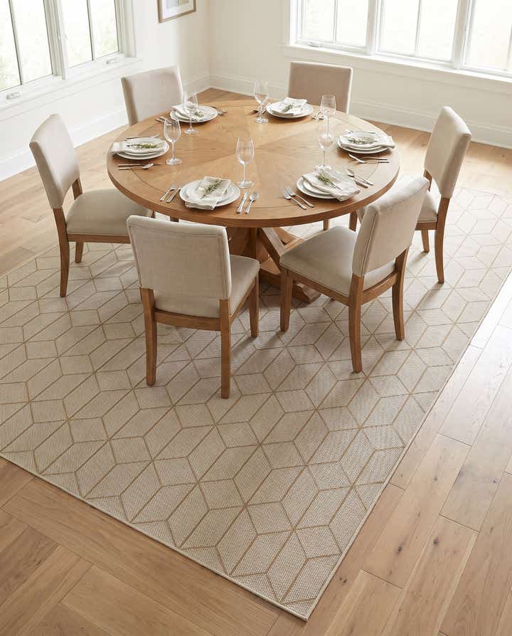 305cm x 430cm Makkelijk schoon te maken Trellis Binnen / buiten Vloerkleed