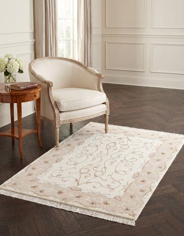3' 10 x 5' 11 Darya Rug