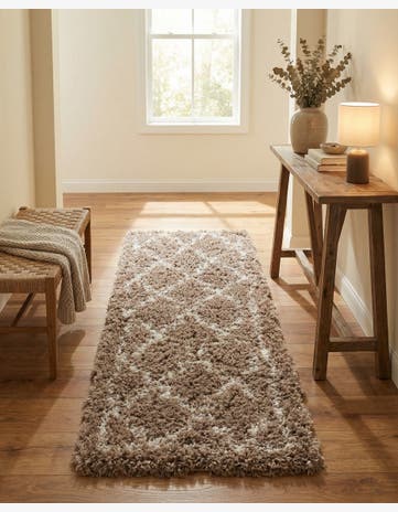 2' x 6' Infinity Shag Runner Rug