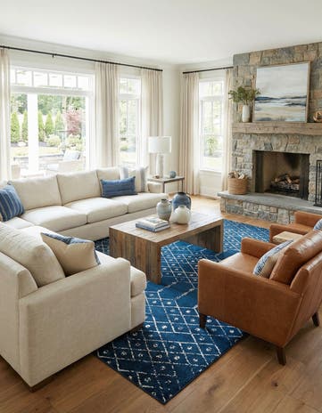 10' x 14' Paxon Trellis Rug