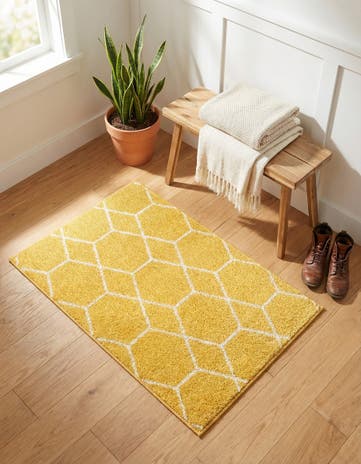 2' x 3' Lattice Frieze Rug