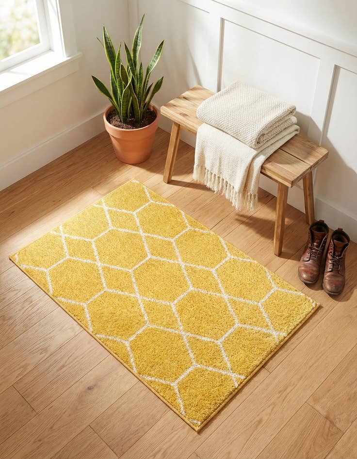 Detail image of  2' x 3' Lattice Frieze Rug