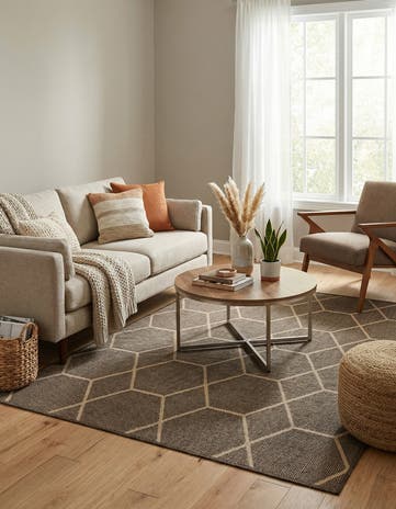 4' 3 x 6' Dunes Rug