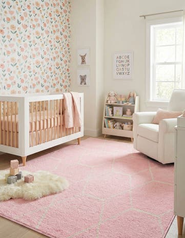 6' x 9' Trellis Frieze Rug
