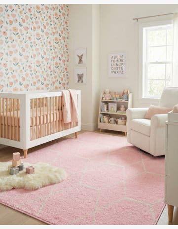 6' x 9' Trellis Frieze Rug