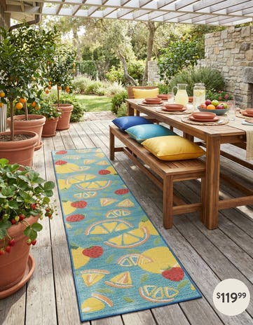 2' 7 x 12' Easy-Clean Baja Indoor / Outdoor Runner Rug