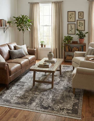 5' x 7' 10 Modern Classical Rug